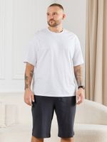 Шорты мужские Тор-5.1 Виотекс ГРАФИТОВЫЙ