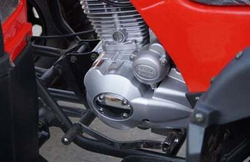 Квадроцикл STALKER 250 LUX