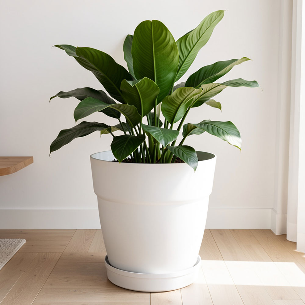 Горшок цветочный Villa de Fiori 26л D380мм, фиксированный поддон, на колесиках, белоснежный жасмин