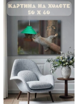 Картина на стену 40 X 50 Белка