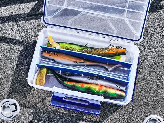 Виброхвосты LJ 3D BBS Series KUBIRA SWIM SHAD 9,0in (22,86)/PG27 1шт.