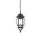 Уличный подвесной светильник Favourite Paris 1806-1P