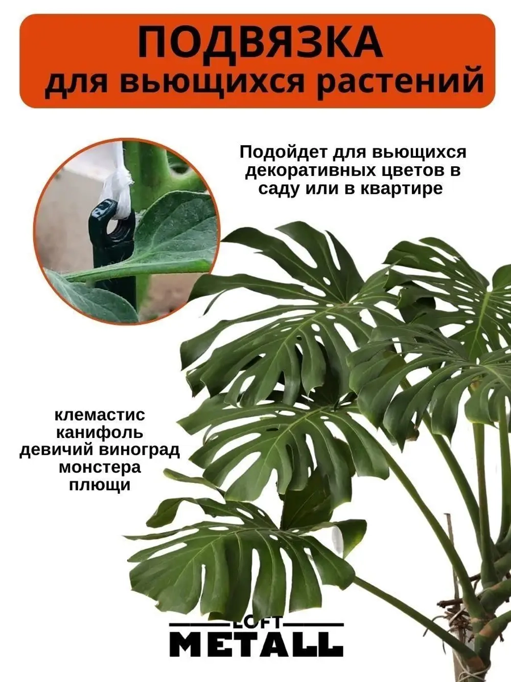 Колышки опора кустодержатель ограждение