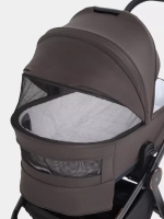 Коляска 2 в 1 Rant Flex Soft Therm Shine brown