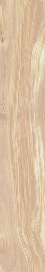 Керамогранит, Creanza, PEARSIAN WOOD IVORY, 1200x200 мм, карвинг