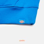  Толстовка мужская Dickies Enterprise Hoodie  артикул:DK0A4Z2NJ531 - купить в магазине Дайс