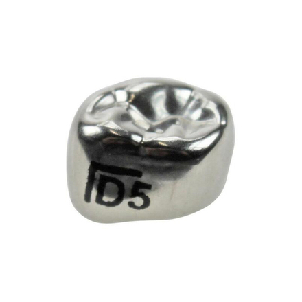 Первый нижний левый моляр, размер 5 (D-LL-5)