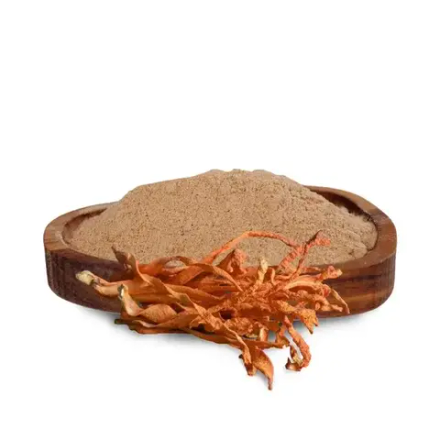 Кордицепс мицелий 100 гр