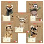 Тетрадь 18 л. BRAUBERG линия, обложка картон, "МИЛЫЕ ЗВЕРУШКИ", 403580, 5шт