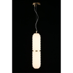 Подвесной светодиодный светильник Aployt Ozeynn APL.332.06.22