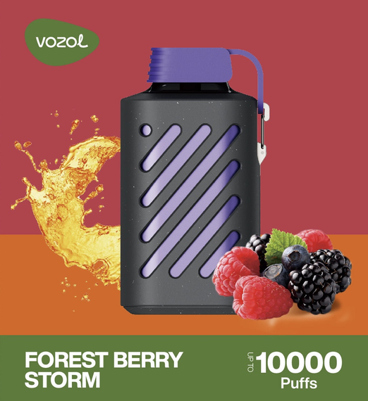 VOZOL GEAR 10000 - Forest Berry Storm (5% nic)