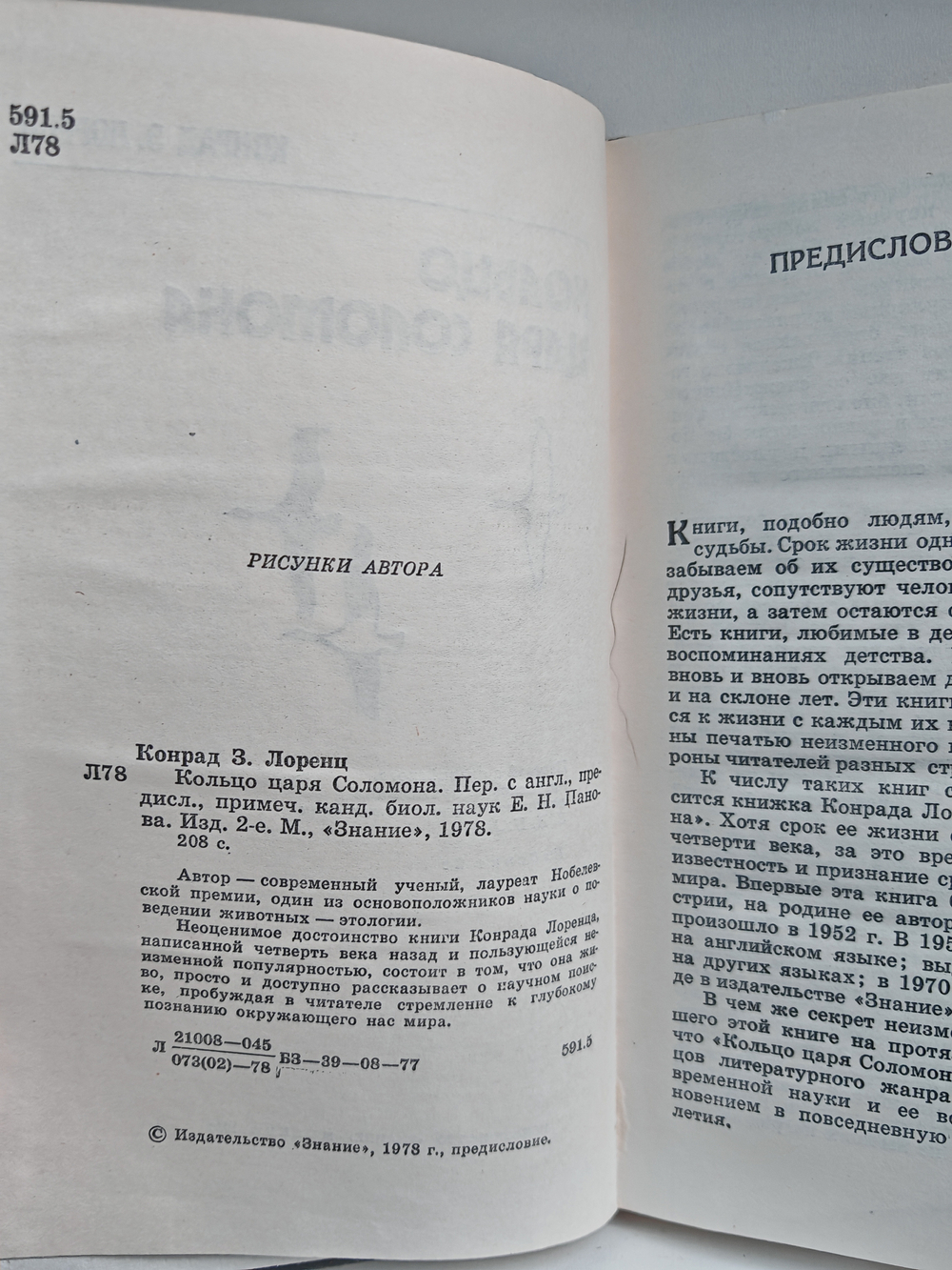 Кольцо царя Соломона