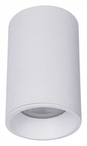 Накладной светильник Maytoni Technical C029CL-01-S-W