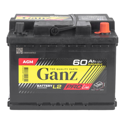 Аккумулятор GANZ PRO-Line AGM 60 А/ч обратный R+ 242x175x190 L2 EN 640 А