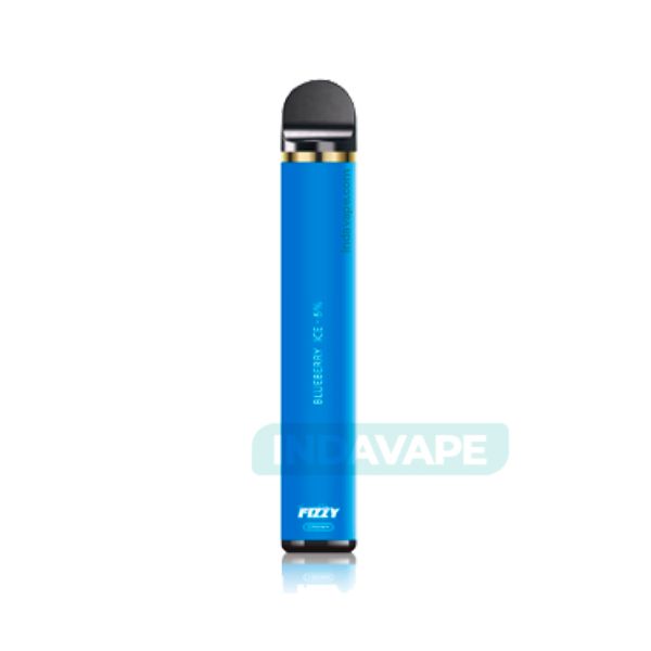 Купить Одноразовый Pod Fizzy - Черничный лед 5% (800 puffs)