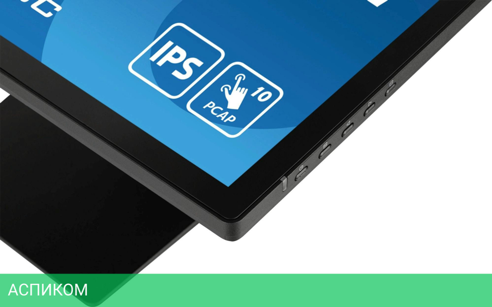 Монитор Iiyama ProLite T2452MSC-B1 черный