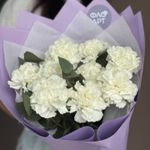 Букет белых диантусов