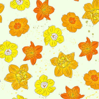 жёлтые нарциссы