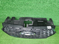 Решетка радиатора Chery Tiggo 7 Pro Max (22-24)