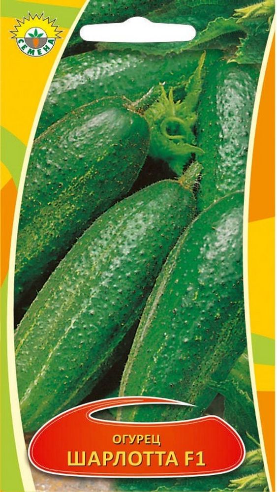 Огурец "Шарлотта F1" 0,3г., Венгрия.