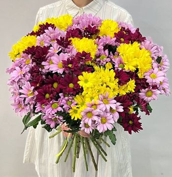 Хризантема