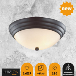Накладной светильник Lumion 5263/2C