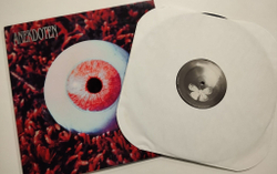 Винтажная виниловая пластинка LP Anekdoten Nucleus (USA 1996)