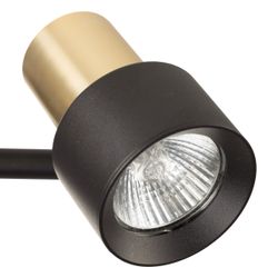 Citilux SAT CL505621 Спот поворотный с выключателем Чёрный+Золото