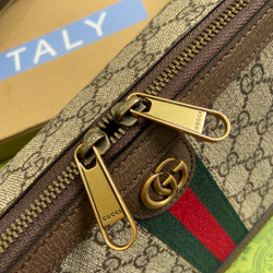 Gucci Ophidia GG Mini Bag