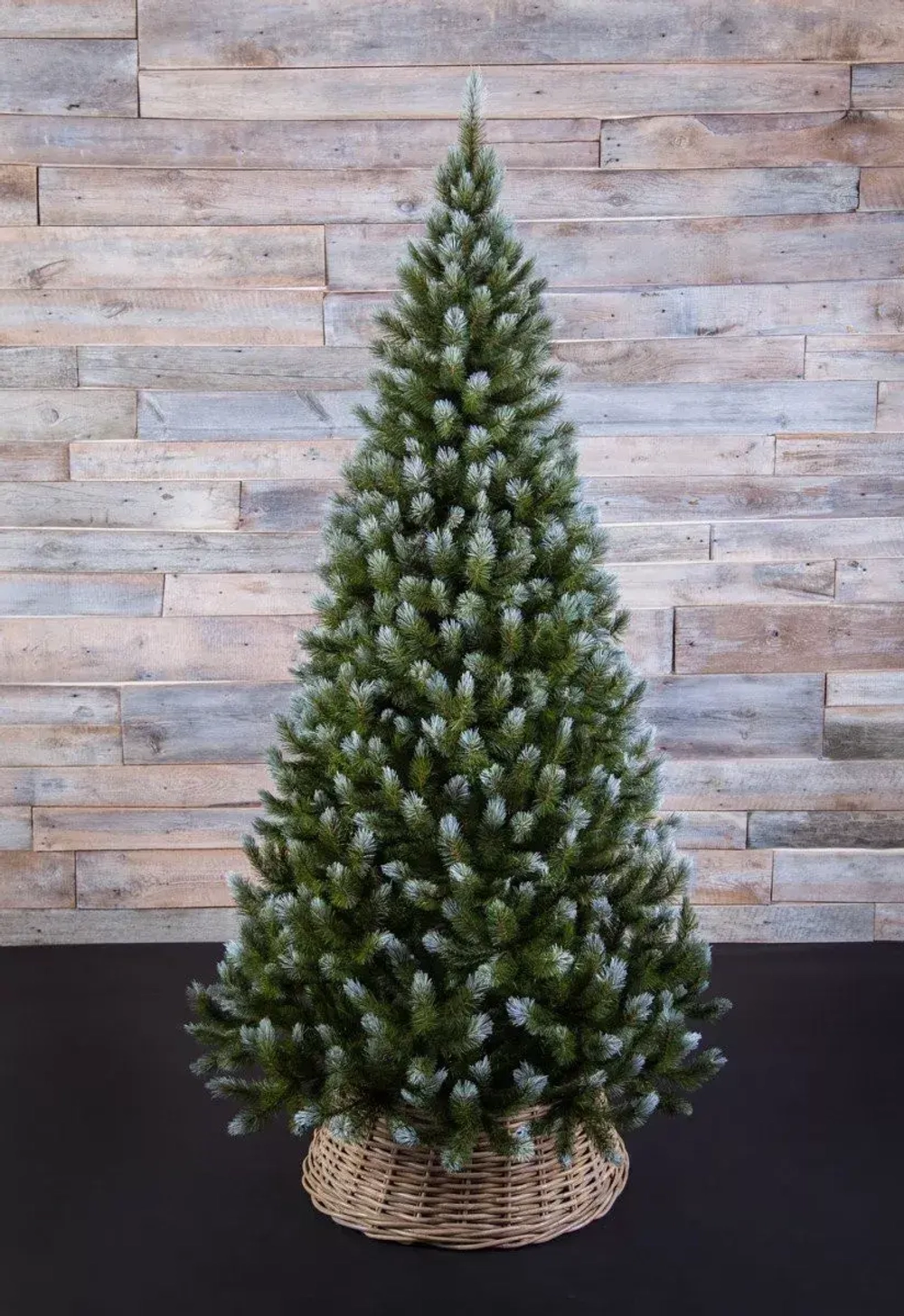 Ель Женева заснеженная 155 см., леска, Triumph Tree (73996)