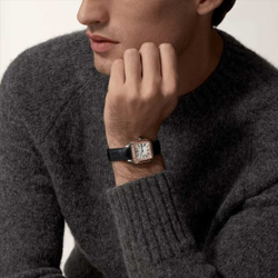 Cartier Santos Dumont 4.47335E+16