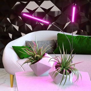 Фитолампы для растений