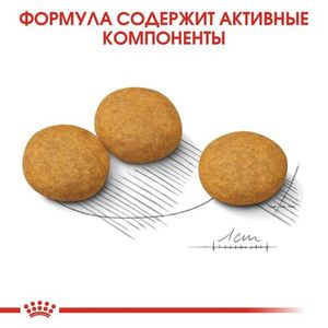 Корм для собак, Royal Canin Medium Dermacomfort, при раздражениях и зуде, связанных с чувствительностью кожи