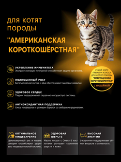 Корм сухой для котят породы Американская короткошёрстная, с индейкой, 400 гр, QUATTRO
