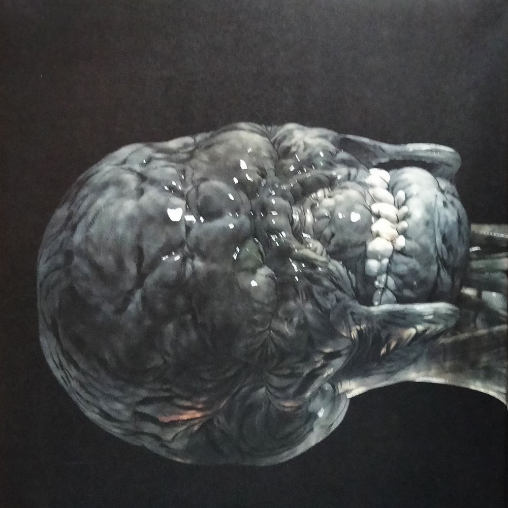 KoMaRa / KoMaRa (LP)