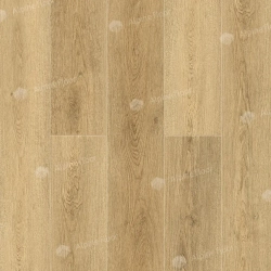 SPC ламинат Alpine Floor Гранд Секвойя Сьерра