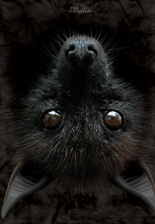 Футболка детская Mountain с изображением летучей мыши - Bat Head