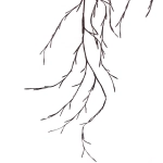 Гирлянда для дома «Ветка» 2,3 м, 144 лампы LED, коричн.провод, пост.свечение, USB, IP-20, Теплый белый