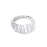 Кольцо Coeur de Lion Silver 0141/40-1700 58