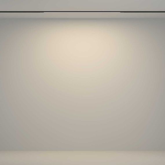 Трековый светильник Maytoni Technical TR180-1-12WTW-B