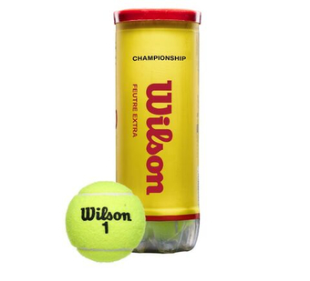 Теннисные мячи Wilson Championship Extra Duty 3B