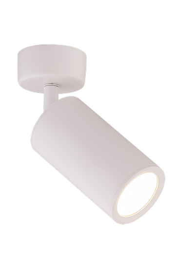 1031W/1 WHITE (1/30) Светильник