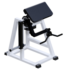 Бицепс-трицепс маятниковый