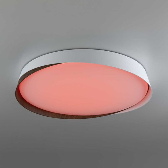 Потолочный светодиодный светильник Citilux Bonny CL754450G