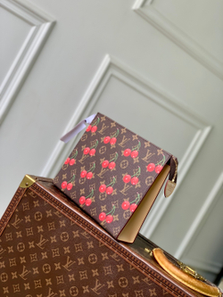 Louis Vuitton Toiletry Pouch