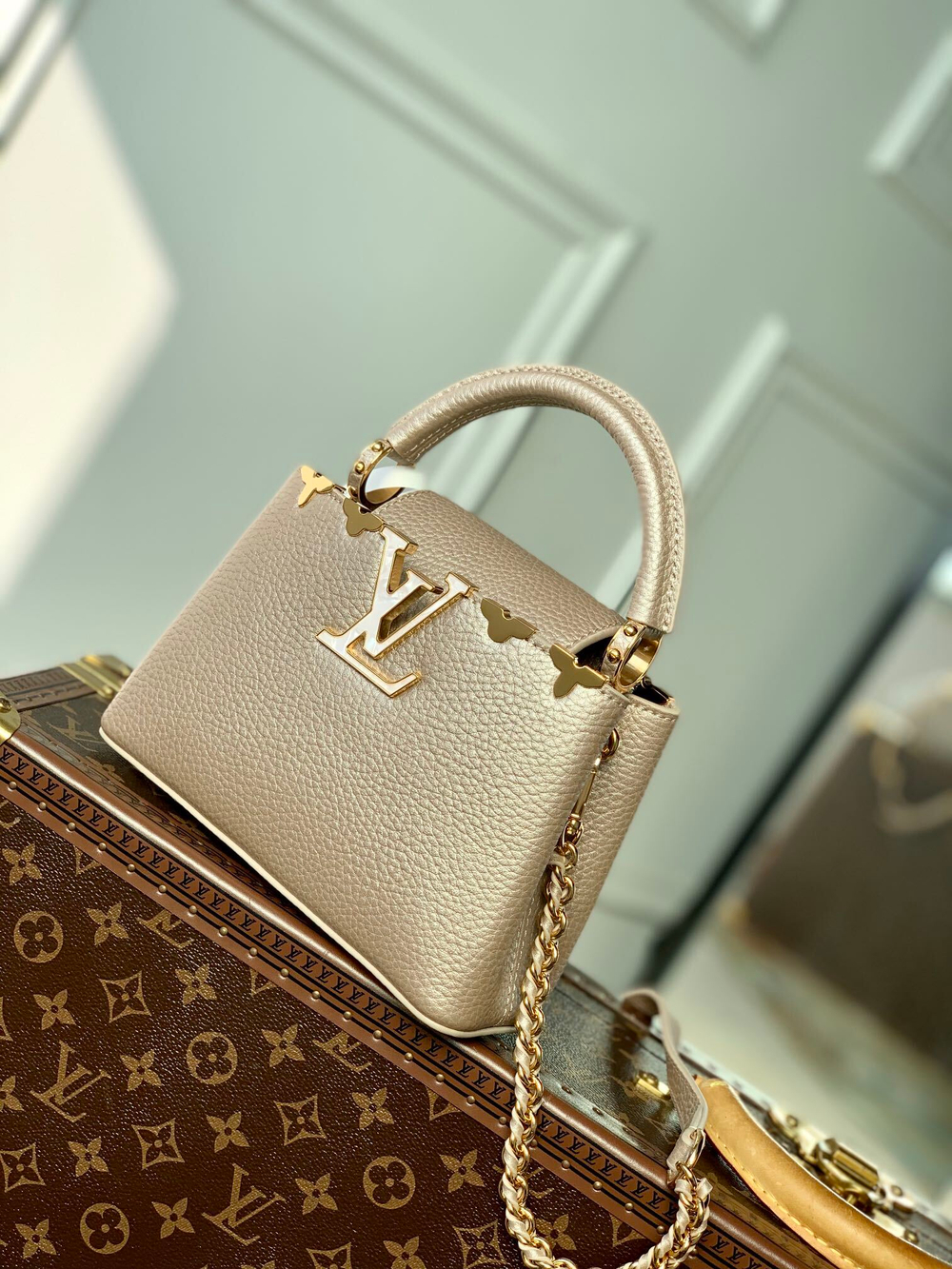 Louis Vuitton Capucines Mini
