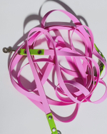 Перестежка для собак из Биотана, 15 мм, 5 м, розовый с зеленым