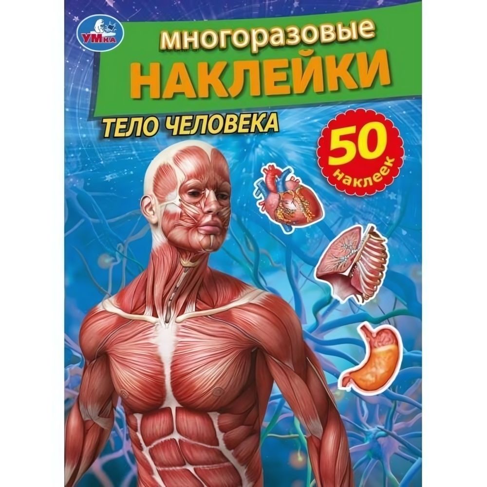 Многоразовые наклейками &quot;Тело человека&quot; 978-5-506-05661-4 (Умка)