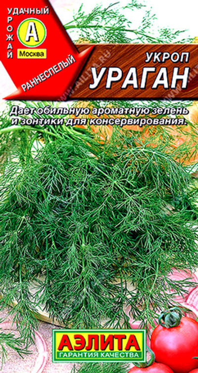 Укроп Ураган