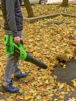 Воздуходувка аккумуляторная Greenworks GD40BG3, 40V, с 1хАКБ 8 Ач и ЗУ (2408207UH)